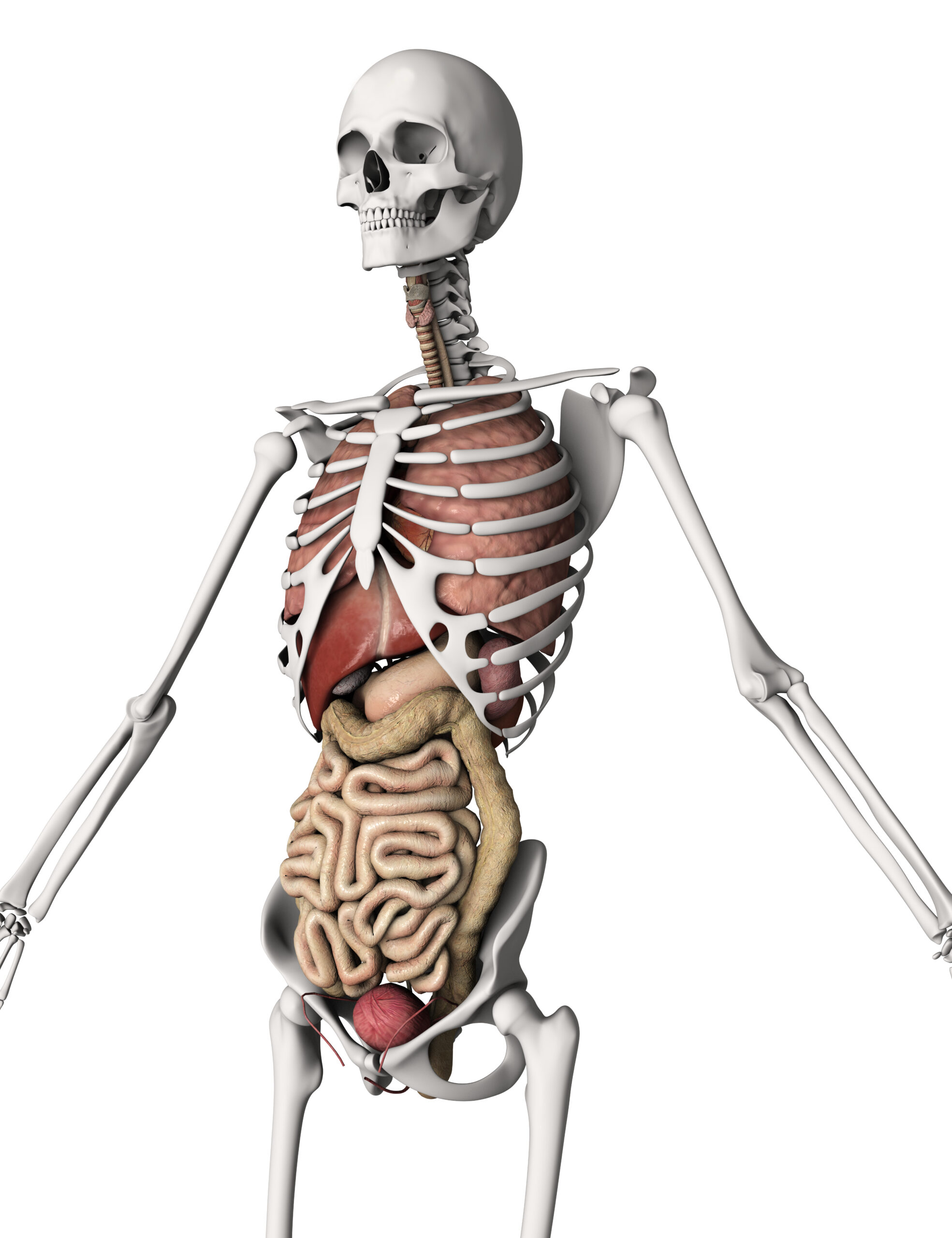 USMLE Step2 CK Course